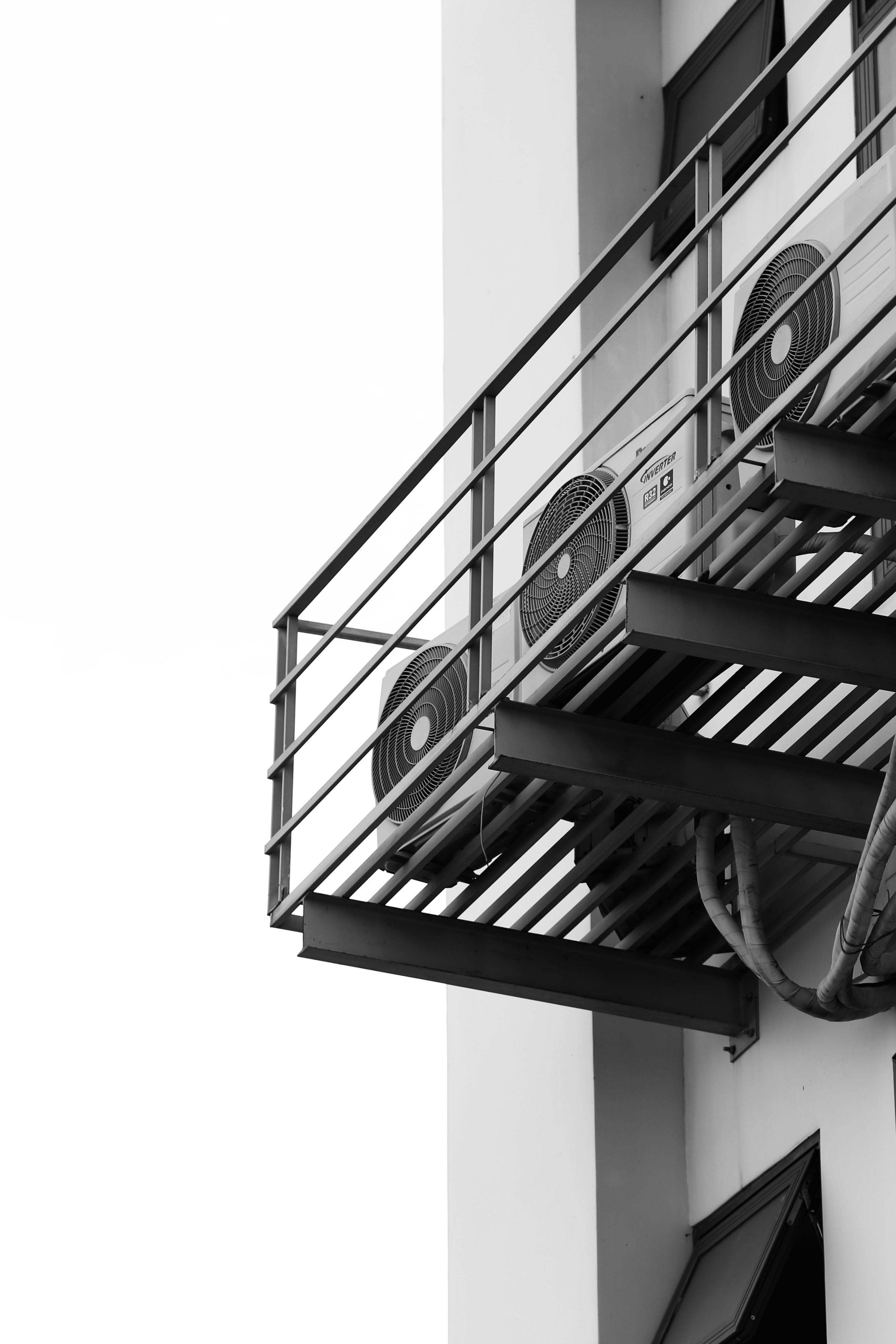 pool in green garden